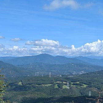 少し先の展望台から
＼(^o^)／