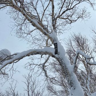 到着　標識がまだ高い