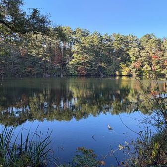 思いの外早く下山できた！山頂でもっとゆっくりすればよかったなぁなんて思いもありますが😅
なので近くの沼散策😉