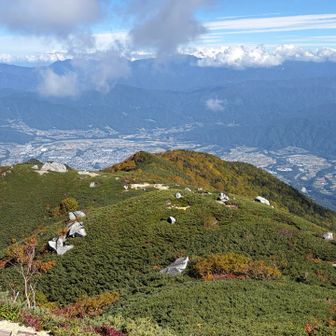 白い岩が点々と