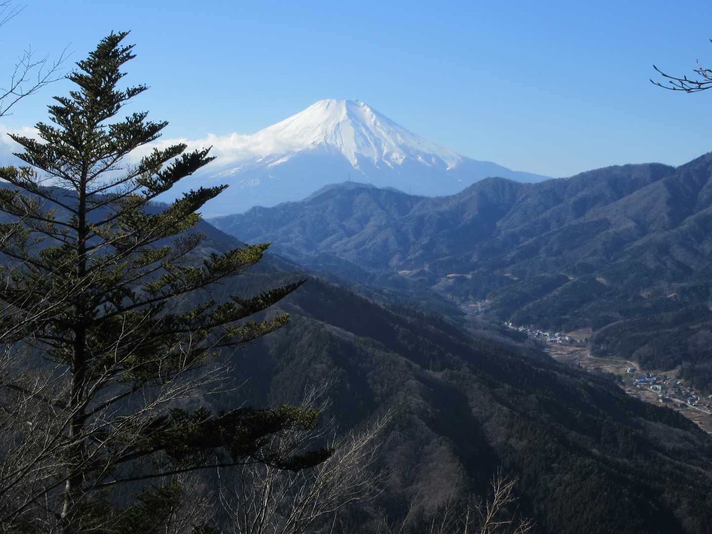中山バス停-鳥ノ胸山-雑木ノ頭 周回コースの写真