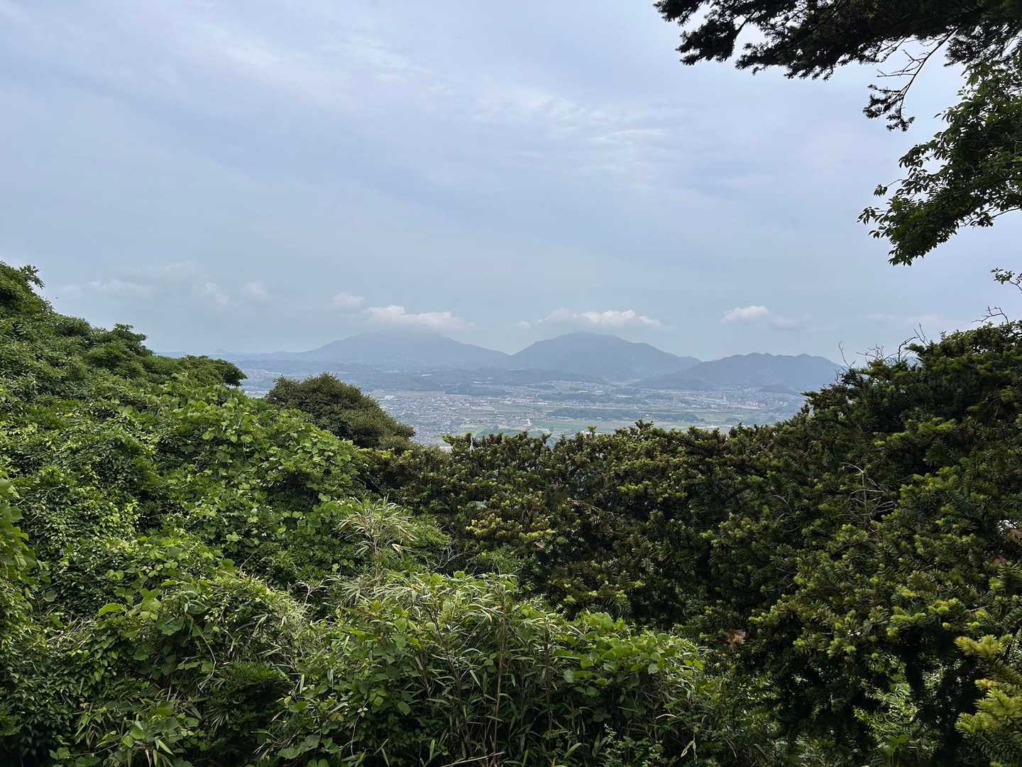 近いうちに来よう❗️