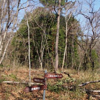 え～っと、出尾根コースと沢コースどっちがいいんだ💦
前のレポ見てくれば良かった

ヤシオなら尾根だろうけど、今日はなんか楽そうなので左の沢コースへ
