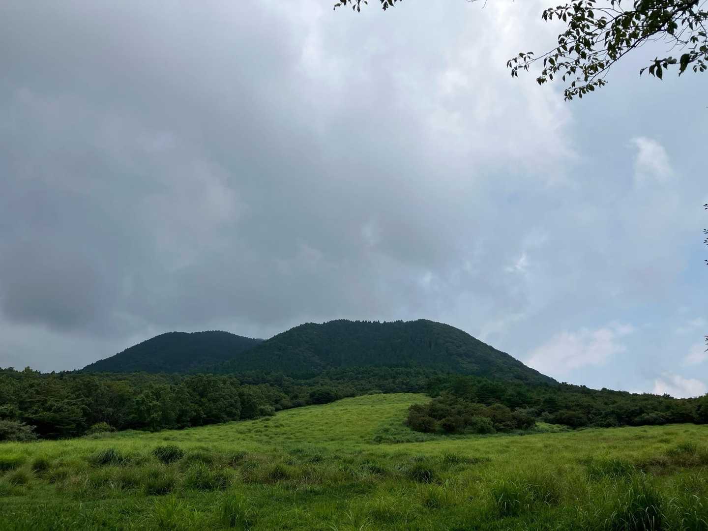 見上げて見た、倉木山。
すっかり曇天…。