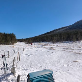 縞枯山への道🚶