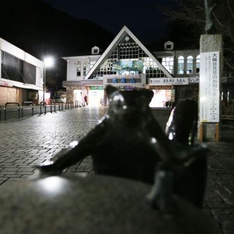 ムササビくんがボケてしまいました。おつかれ山でした。帰ってビール飲もうっと！！