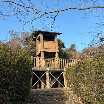 グレーピークの御殿山、山頂🙌