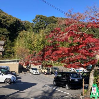 駐車場に帰ってきました。
