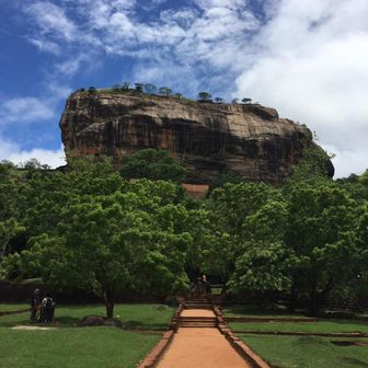 なおきっくす443