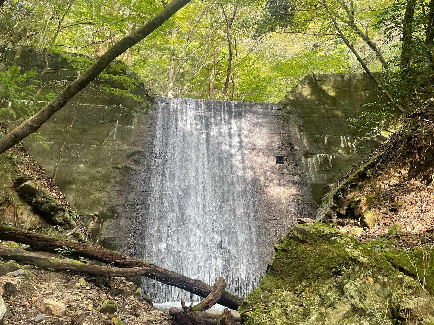 鎌ヶ岳登山口-水沢峠-水沢岳-鎌ヶ岳 周回コースの写真