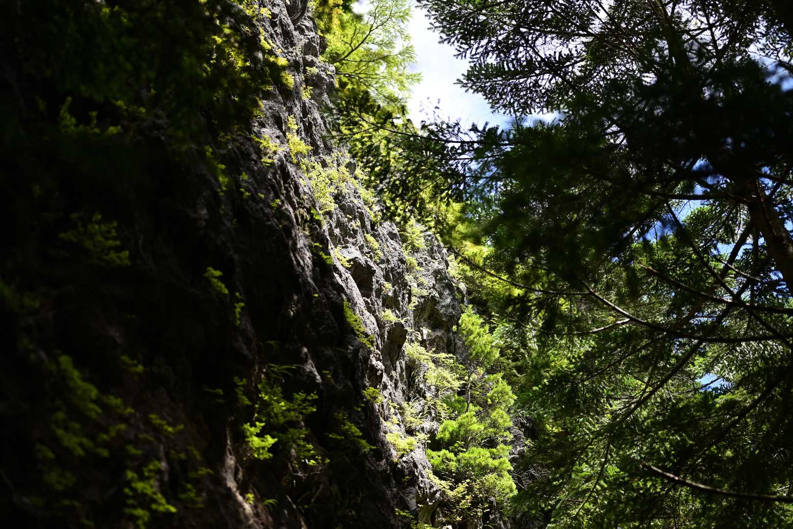 看板に説明出てたけども名前は？
最初は岩を探してたけどこの巨大な岩
の事だったとは驚き。