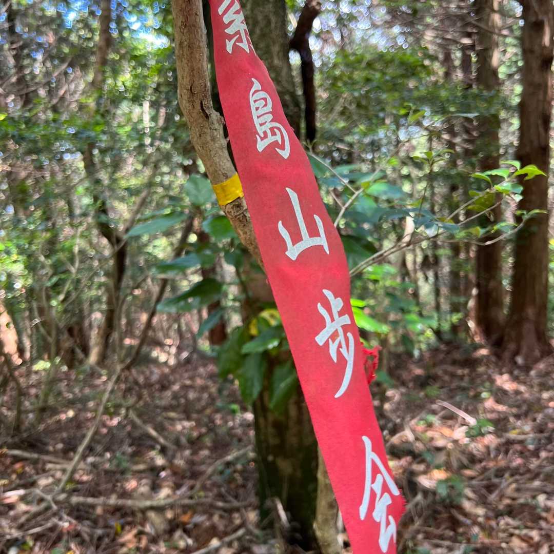 旗がカッコイイ🚩