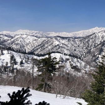 白山ドーン✌️