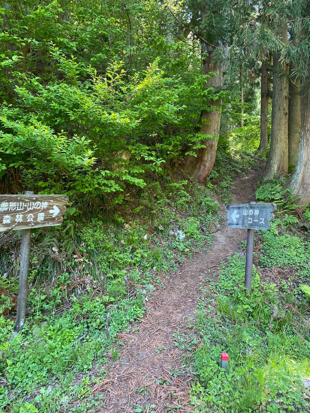 関沢登山口に降りたら今度は山神の道に戻ります
降った後の登りがきつい