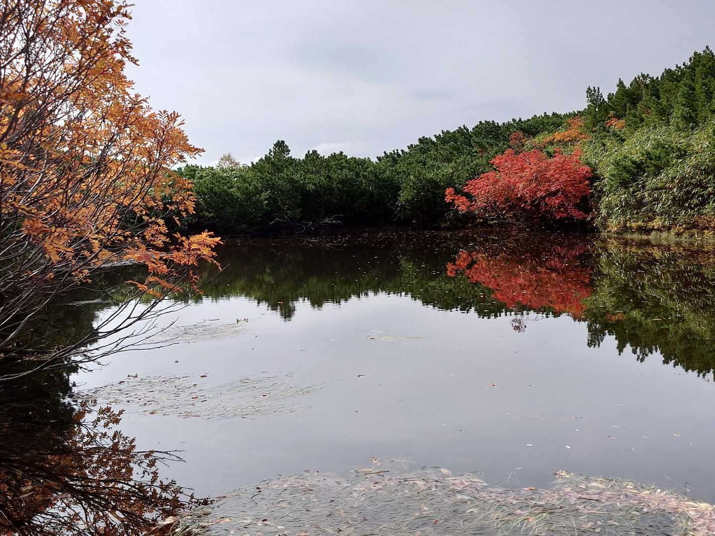 三段山分岐から少し入ると馬足洗沼という沼があります。紅葉見にくる人結構いるみたいです