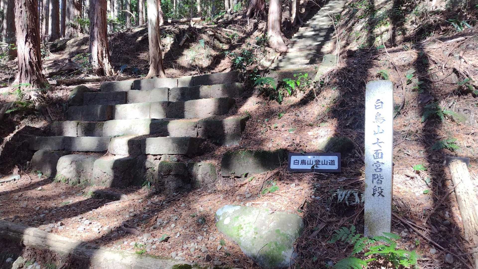 がっつり登る階段。
巻道らしき道があったので登りはそちらを使いました（微妙に分かりづらいけど）。