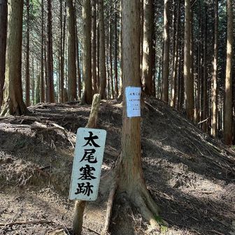 ここまで１時間20分　よきペース🚶‍♂️