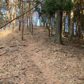 画像は岩菅山ピークだが
疲れたので半径100m以内に侵入したのを
確認したら登頂せず🚉芦ヶ久保駅まで下山
沢沿い下ったりだが
楽です