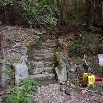金泉寺までは石階段や、