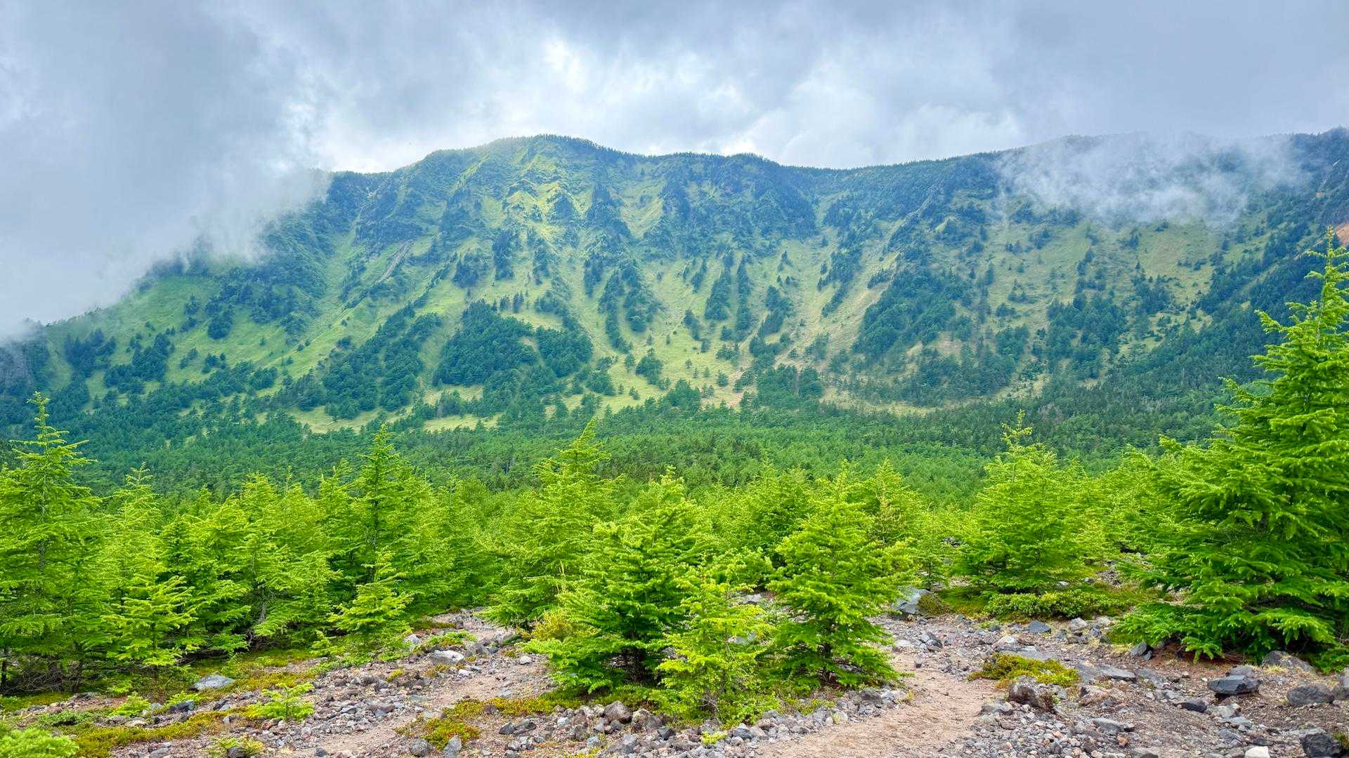 黒斑コース登山口-車坂山-黒斑山-蛇骨岳-鋸岳-Jバンド- 周回コースの写真