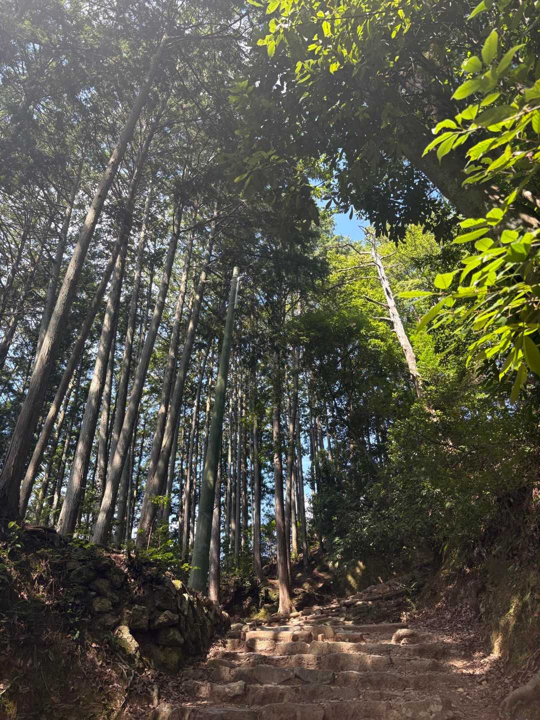 暑いけど、青空が良い感じ🙆