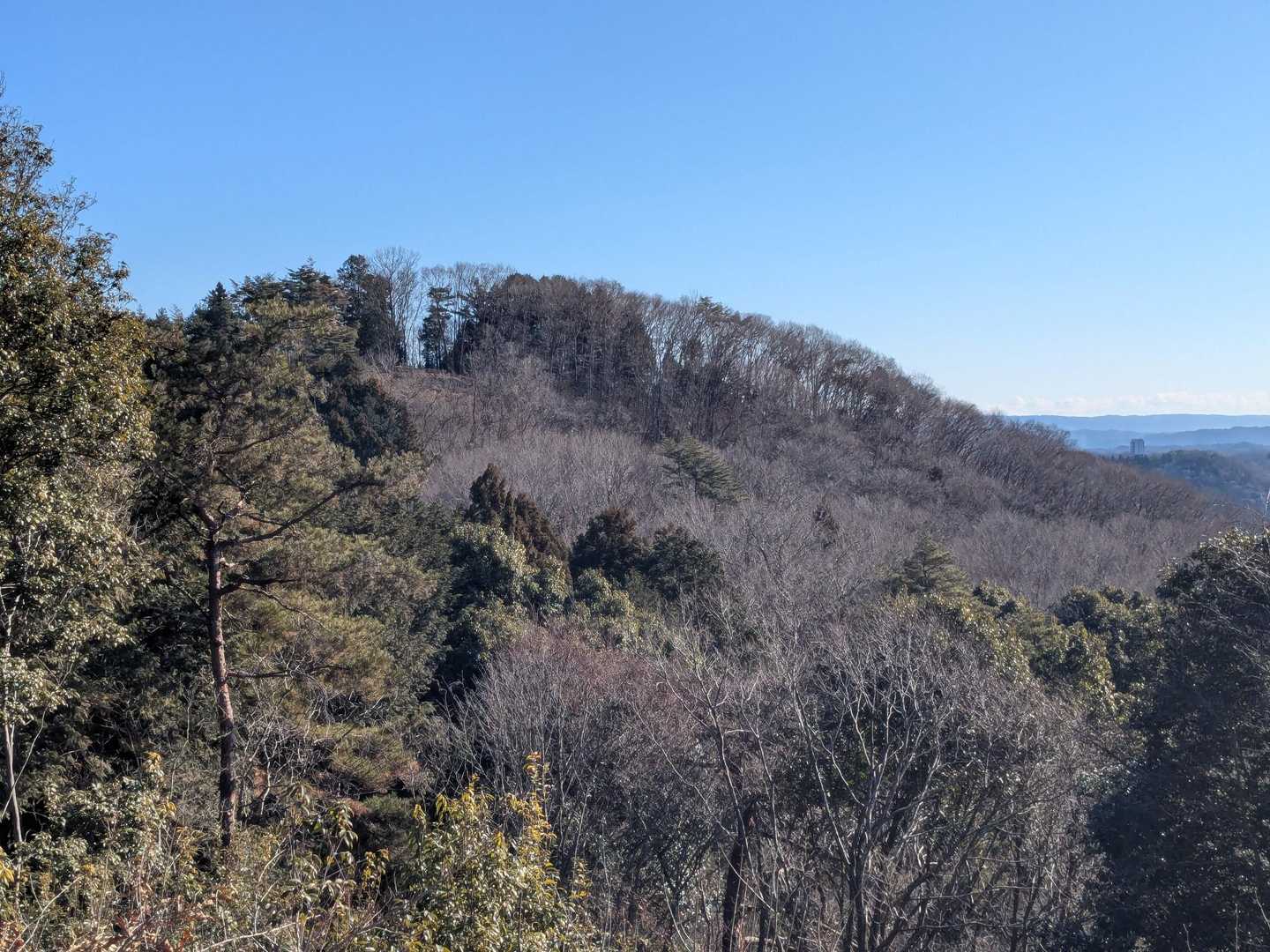 次に登る小瀬富士方面です⛰️