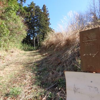 デザインされたトレイル看板が要所要所にある