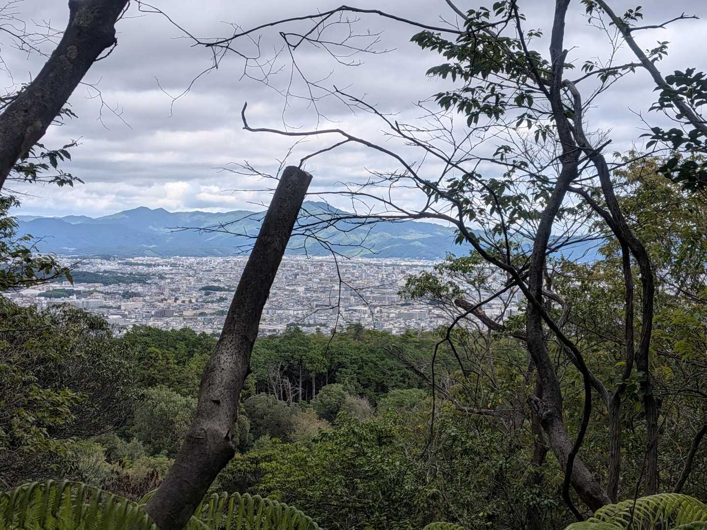 上桂駅-松尾山-嵐山 縦走コースの写真