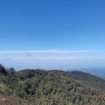 景色は良いが