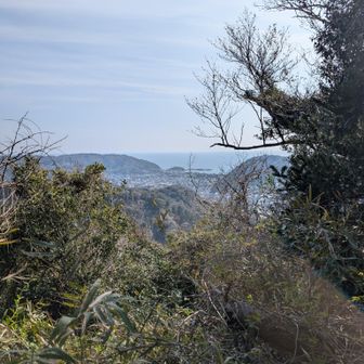 相模湾、見えてきた！🌊
仙元山に近づいてくると登山道が広くなって歩きやすくなる🚶🎶