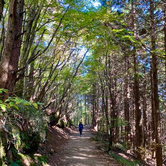 読図の力で山を自由に歩く