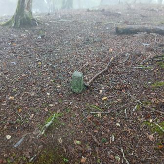 塩地窪沢ノ頭　標識なし