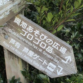 車道を横切り、奥池方面へ