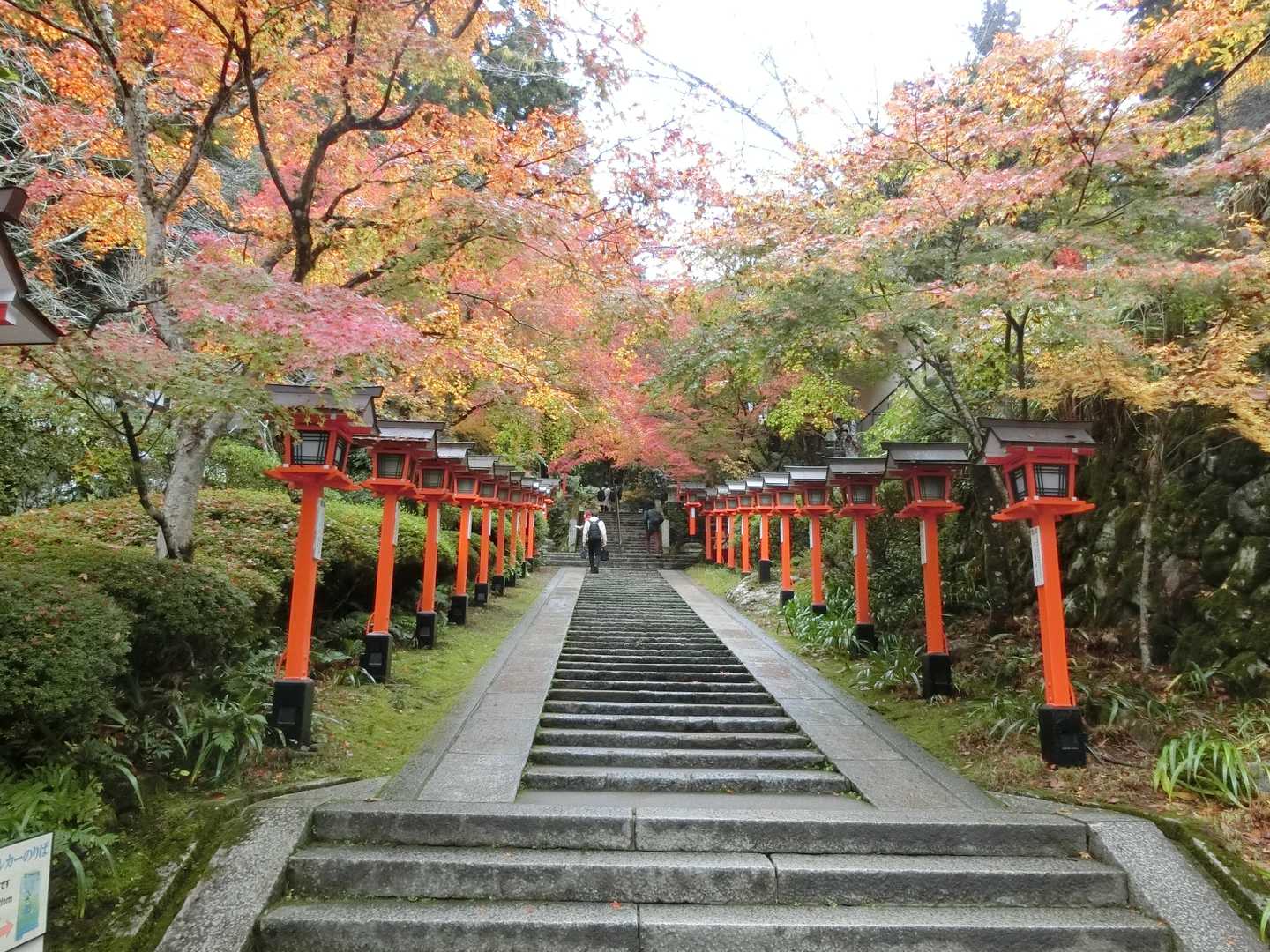 参道を登って行く。
紅葉がキレイです。