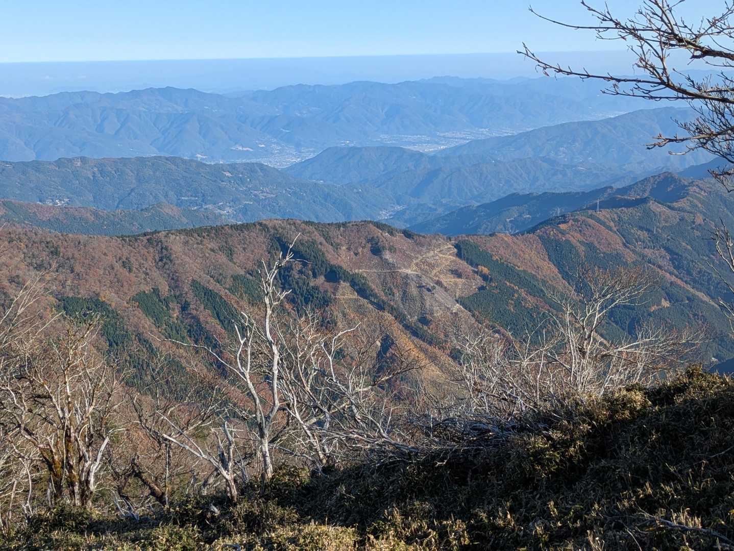 石堂山の縦走路です✨