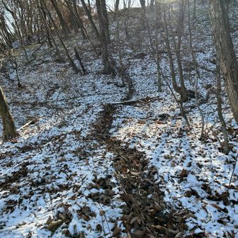 落ち葉の道を歩きます。