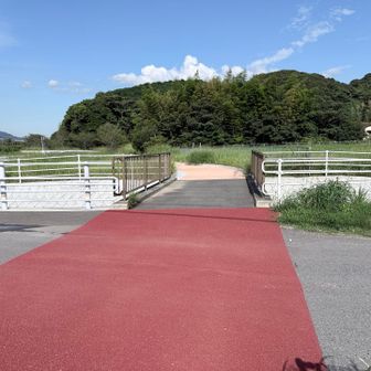 新しく橋が出来てました🙏🏼