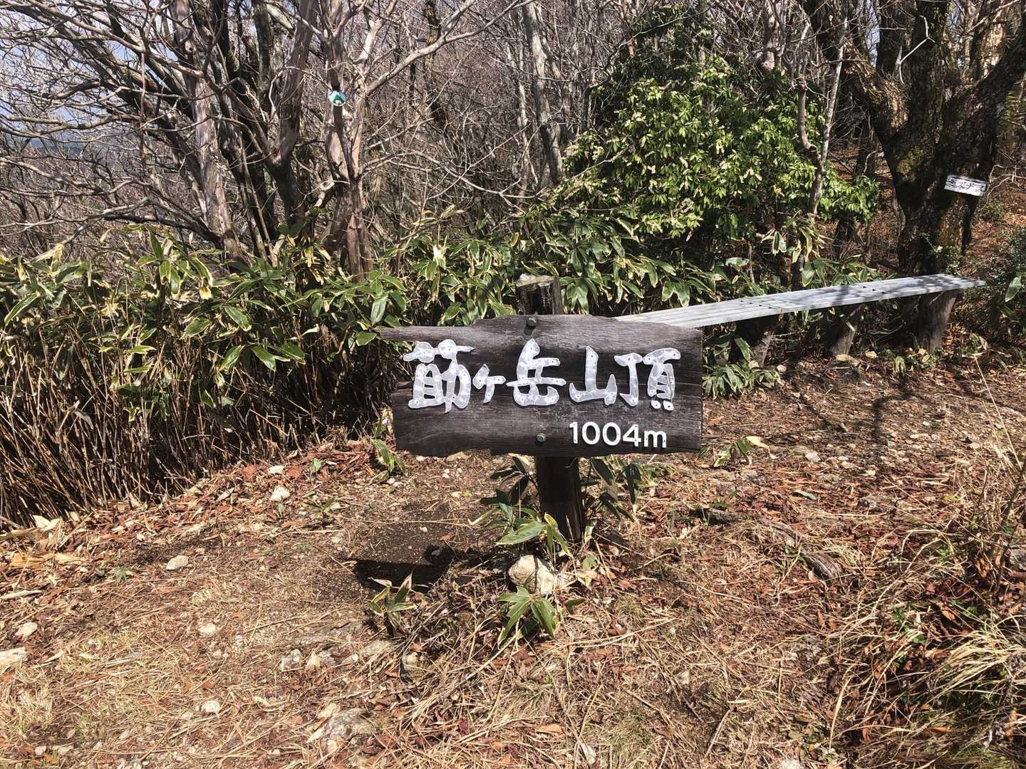 写真撮る暇もなく着いたー。まだ先は長いと緊張してます。
ここでお兄さんと出会い少しお話を。カタクリを見に来たそうですが、お日様が当たらないと開かないのでしばらく待つと言われお先に出発しました。
