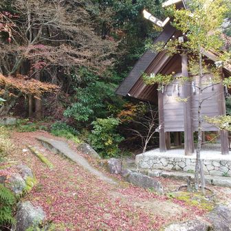ここから入って行った🦶🏽