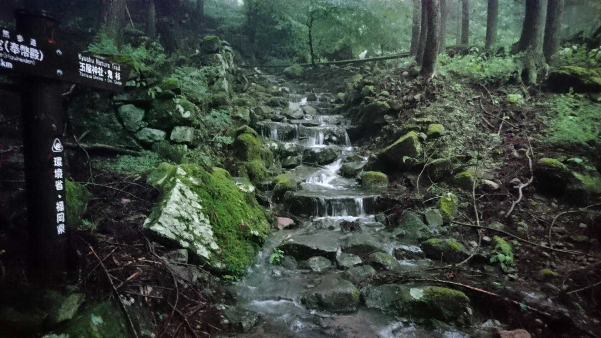 階段が川に💦