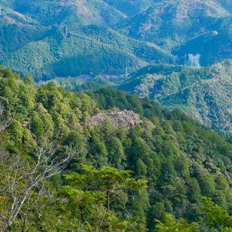 鷹打ち場が見えます。
