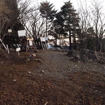 2日目
少々出遅れてしまい毛無山山頂へ急ぐ