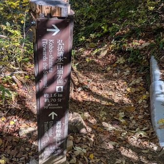 裏磐梯登山口との分岐点
裏磐梯ルートに行くと銅沼に行けます
