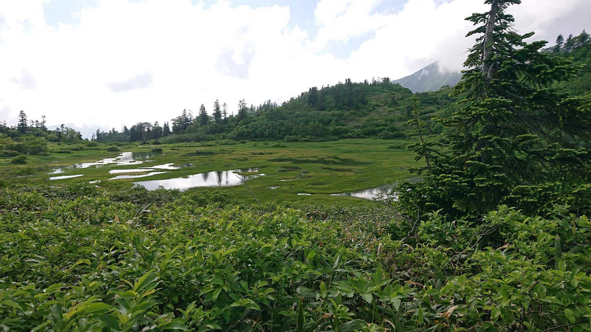 茶臼山-大倉乗越-妙高山 縦走コースの写真