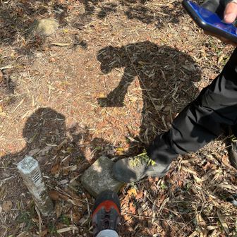 シャシャ木山の三角点