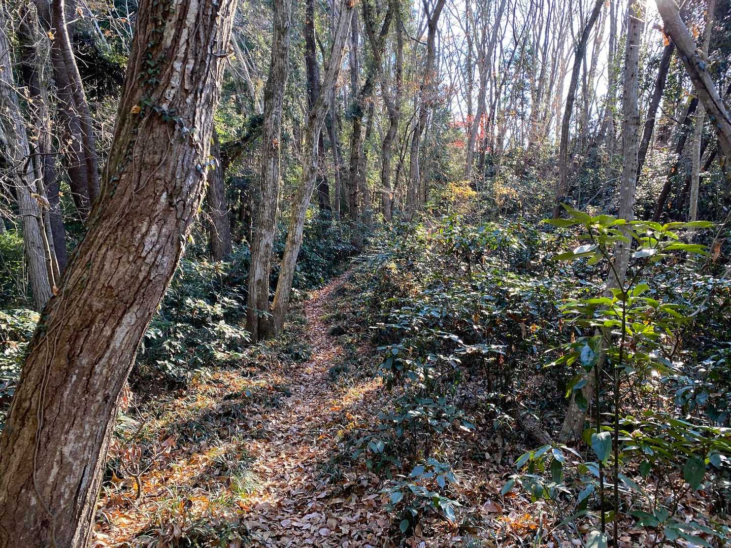 こーゆー感じ
実に良い🫶🏻