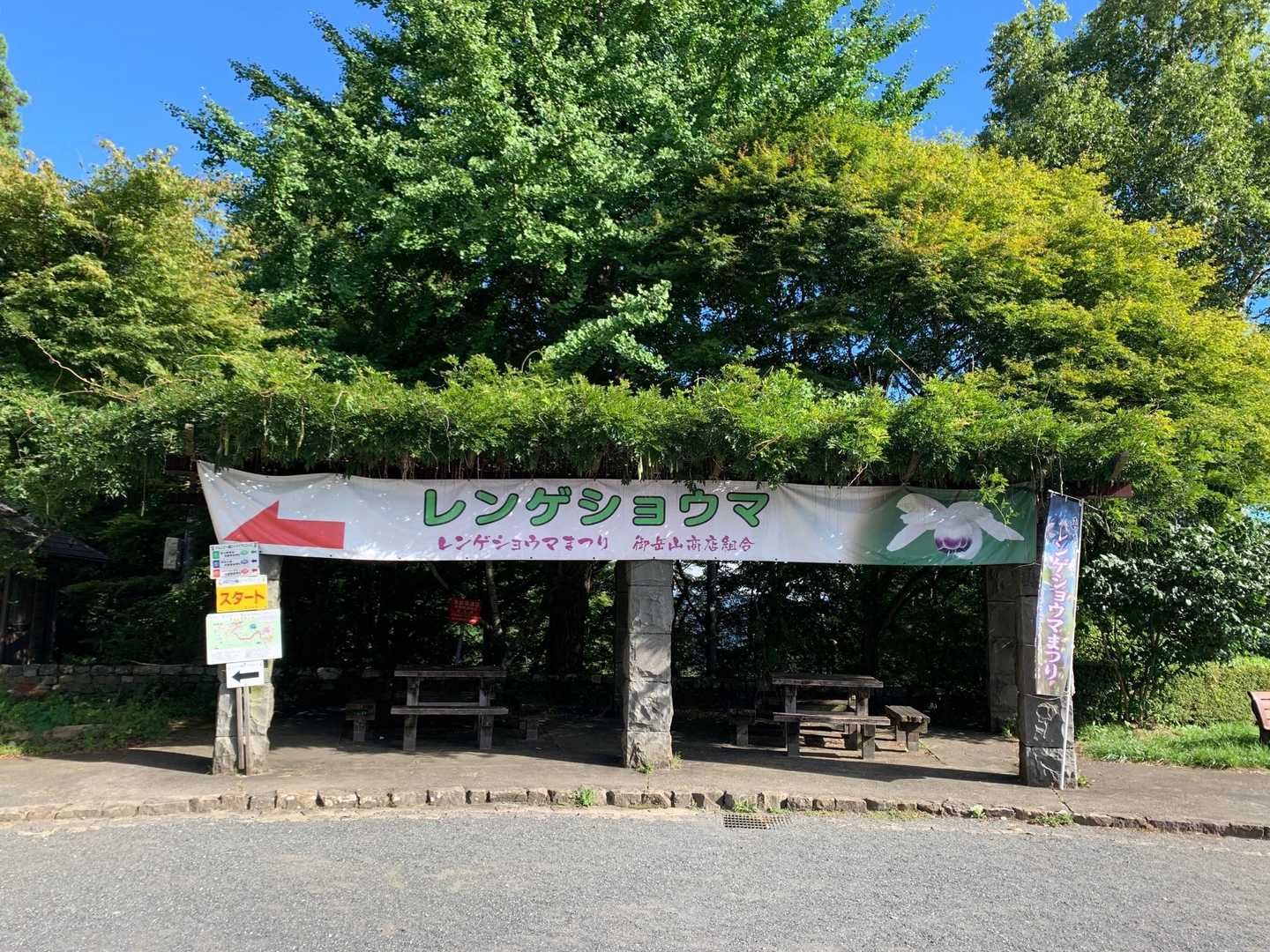 ケーブルカーで上がったけど、、暑い🥵