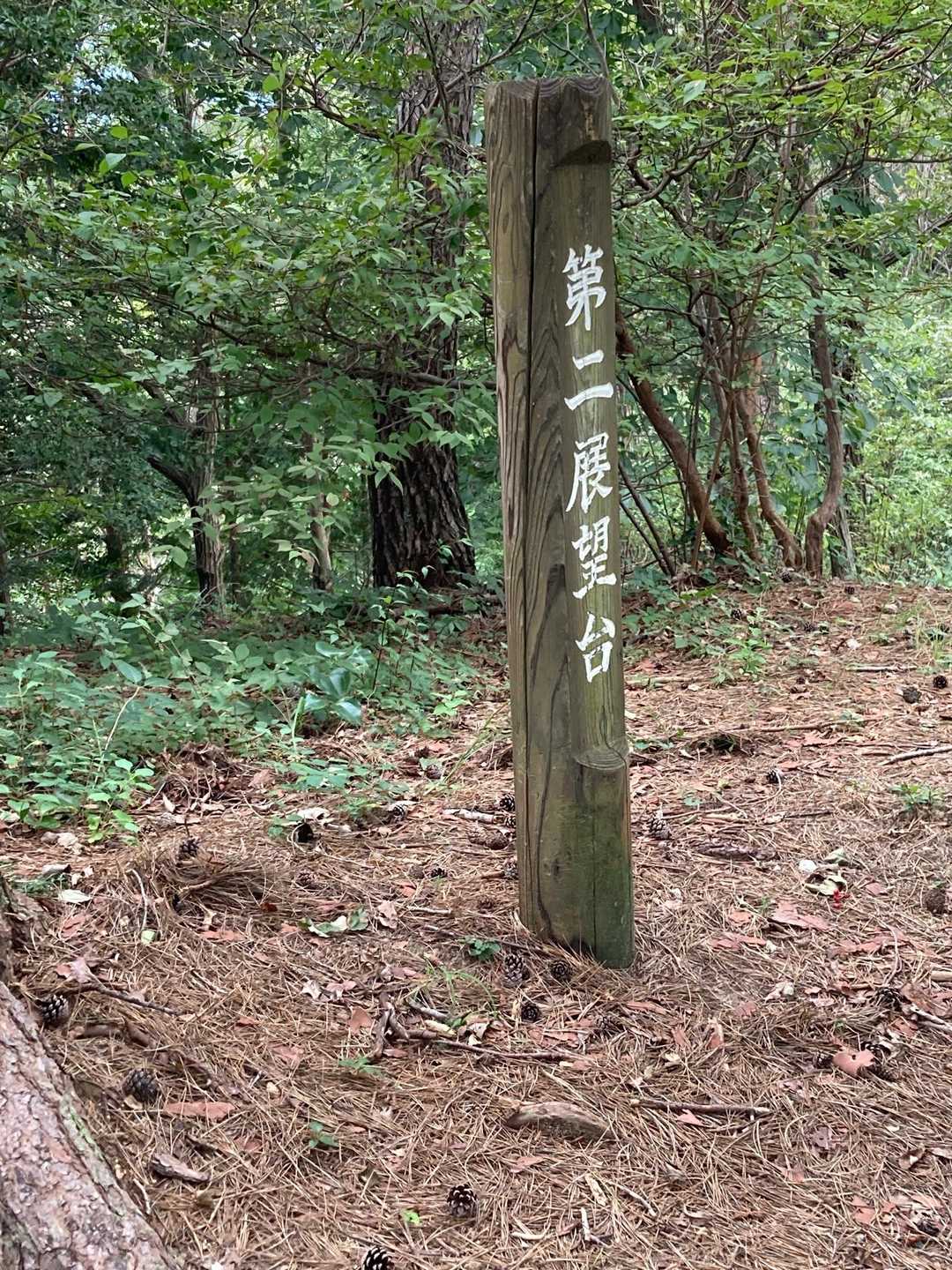 鷹巣山 往復コースの写真