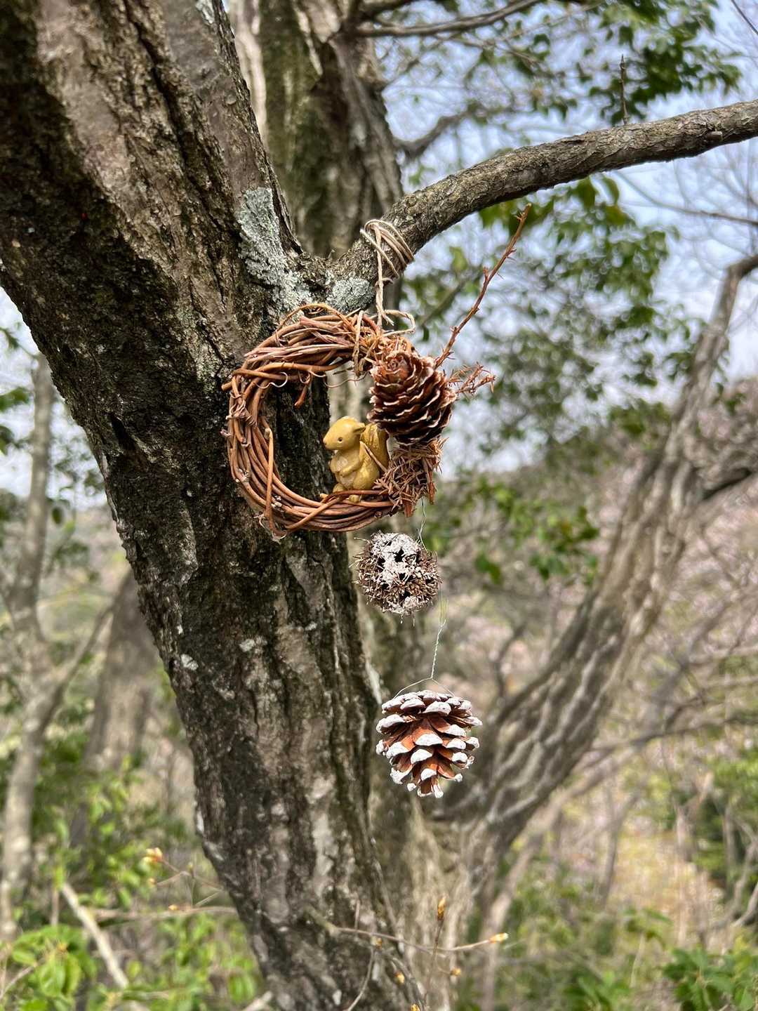西茶臼山 周回コースの写真