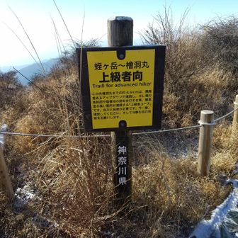 蛭ヶ岳までで精一杯です
初級者の私は引き返します